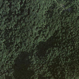 Satellite imagery of Monte San Giorgio, CH