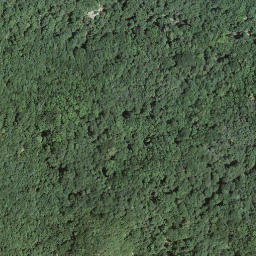 Satellite imagery of Monte San Giorgio, CH