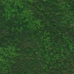 Satellite imagery of Muriel Point, CA