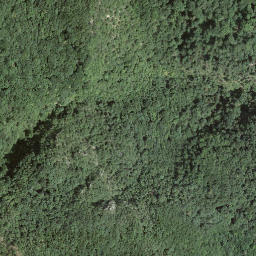 Satellite imagery of Monte San Giorgio, CH