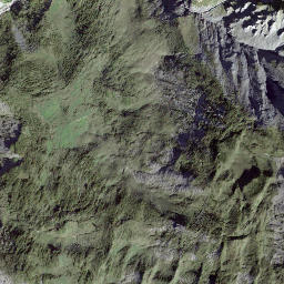 Satellite imagery of La Dotse, CH