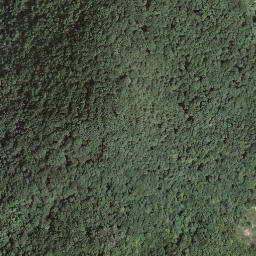 Satellite imagery of Monte Pravello, CH