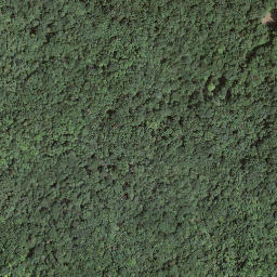 Satellite imagery of Monte Pravello, CH