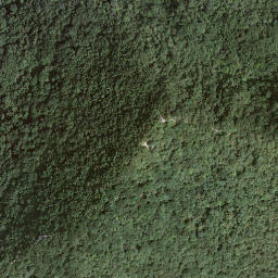 Satellite imagery of Monte Pravello, CH