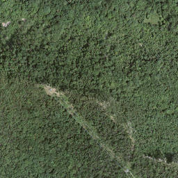 Satellite imagery of Monte Pravello, CH