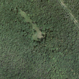 Satellite imagery of Monte Pravello, CH