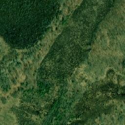 Satellite imagery of Maple Point, CA