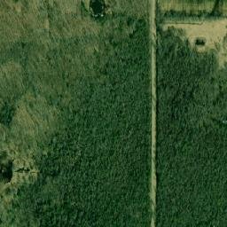 Satellite imagery of Maple Point, CA