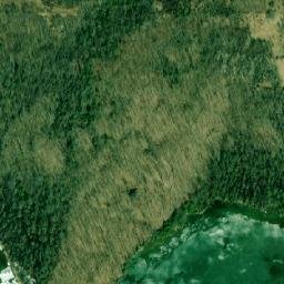 Satellite imagery of Maple Point, CA