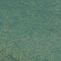 Satellite imagery of Point Catosh, US