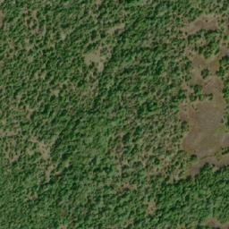 Satellite imagery of Goose Point, CA