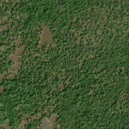Satellite imagery of Goose Point, CA
