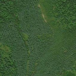 Satellite imagery of McKinley Ridge, US