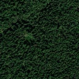 Satellite imagery of Tamarack Ridge, US