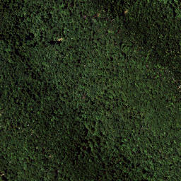 Satellite imagery of Debeli vrh Točka trigonometrične mreže 1. reda, HR