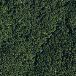 Satellite imagery of Slivnica, SI