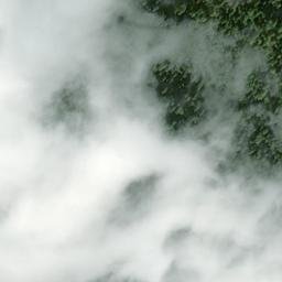 Satellite imagery of Buckhorn Mine, US