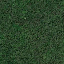 Satellite imagery of Murray Hill, CA
