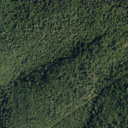 Satellite imagery of Slivnica, SI