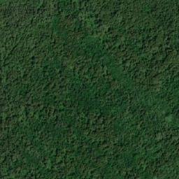 Satellite imagery of Murray Hill, CA