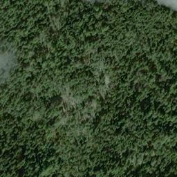 Satellite imagery of Gilt Edge Mine, US