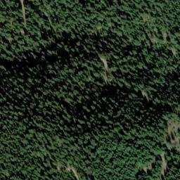 Satellite imagery of Gold Point Mine, US