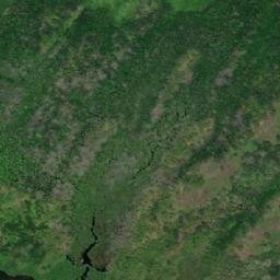 Satellite imagery of Watson Point, CA