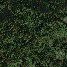 Satellite imagery of Gilt Edge Mine, US