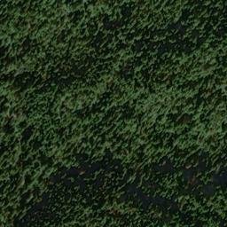 Satellite imagery of Gilt Edge Mine, US