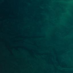 Satellite imagery of Johnson Point, US