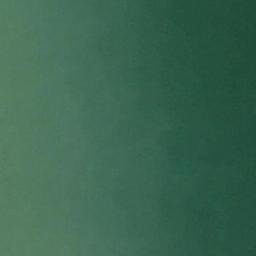 Satellite imagery of Willow Point, US
