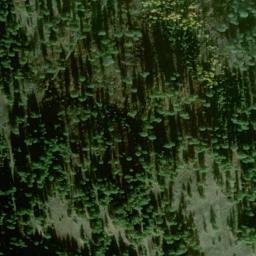 Satellite imagery of Saddle Horse Ridge, US