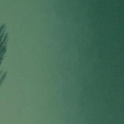 Satellite imagery of Willow Point, US
