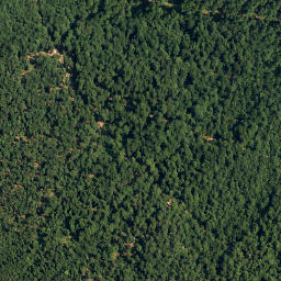 Satellite imagery of Javornik, HR