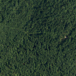 Satellite imagery of Javornik, HR