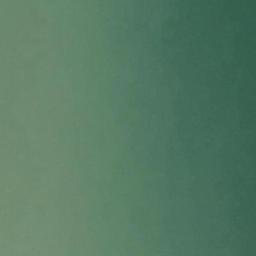 Satellite imagery of Willow Point, US