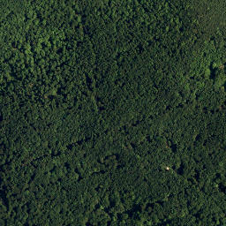 Satellite imagery of Javornik, HR