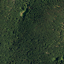 Satellite imagery of Javornik, HR