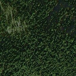 Satellite imagery of Gnome Mine, US
