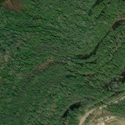 Satellite imagery of Nichols Point, US