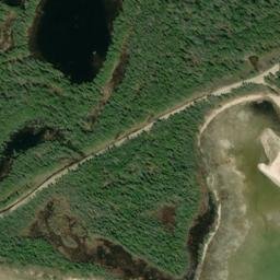 Satellite imagery of Nichols Point, US