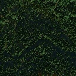 Satellite imagery of Williams Creek Ridge, US