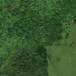 Satellite imagery of Tracy's Point, CA