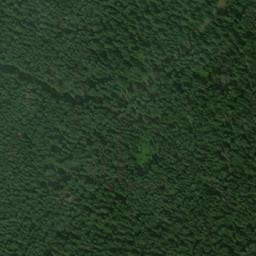 Satellite imagery of Marble Point, US
