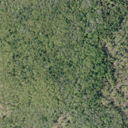 Satellite imagery of Cherry Hill Mountain, CA