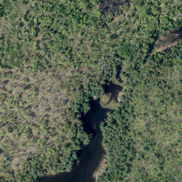 Satellite imagery of Cherry Hill Mountain, CA