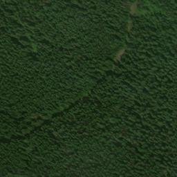 Satellite imagery of Marble Point, US