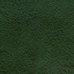 Satellite imagery of Marble Point, US