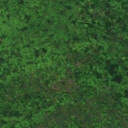 Satellite imagery of Maple Point, CA