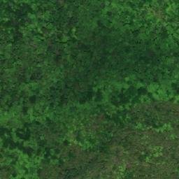 Satellite imagery of Maple Point, CA